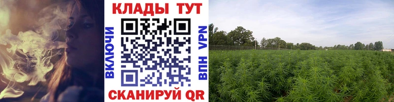Купить закладку COCAIN  СОЛЬ  НБОМе  Канабис  Меф мяу мяу  ГАШ  Багратионовск