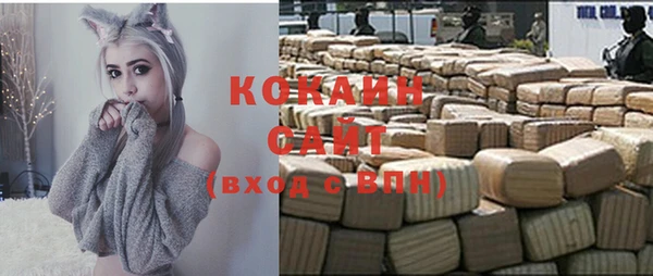 меф Арсеньев